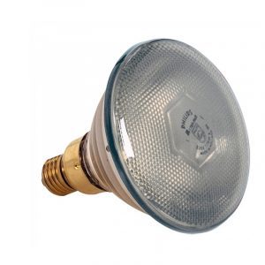 heat lamp